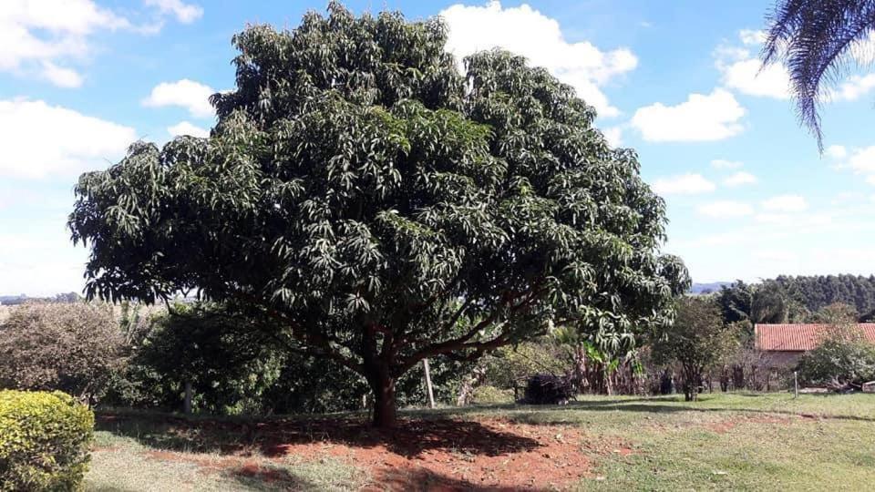 Sitio Em Atibaia - Sitio Beija-Flor Villa Buitenkant foto